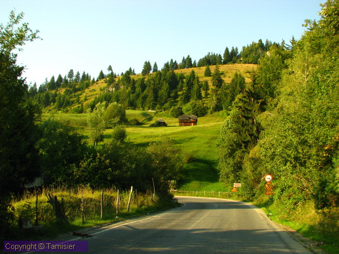 2008-09-01 17-22-34.JPG - 2008-RO>Ri Rucar